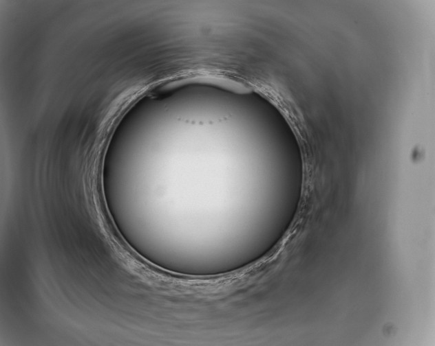 X0000102350001200808011214