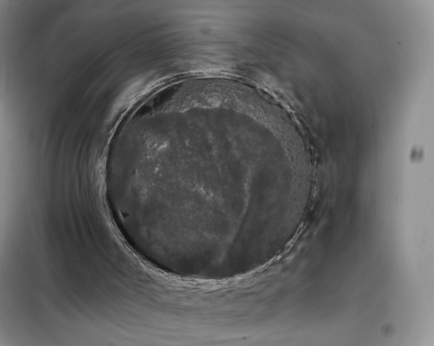 X0000102350002200808011214