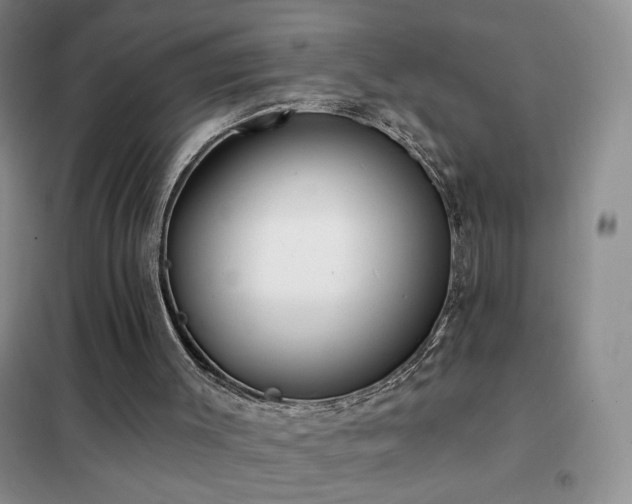 X0000102350003200808011214