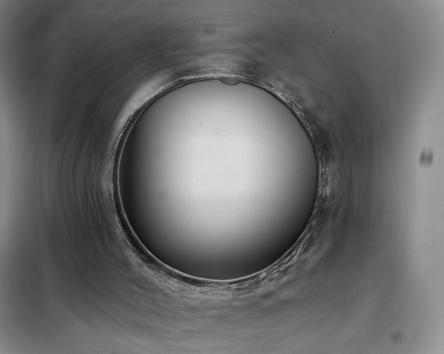 X0000102350004200808011214