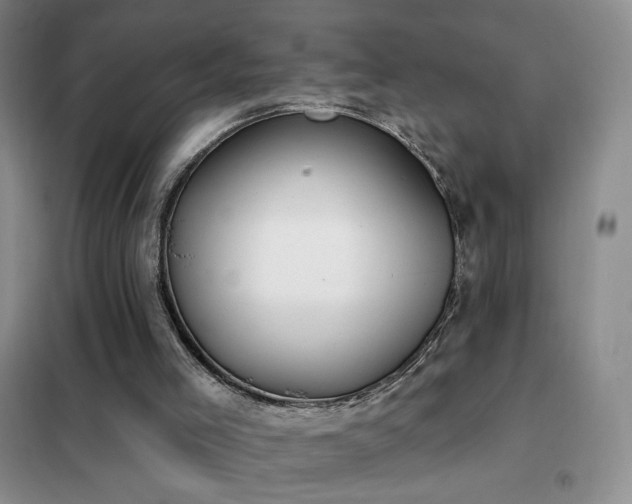 X0000102350005200808011214