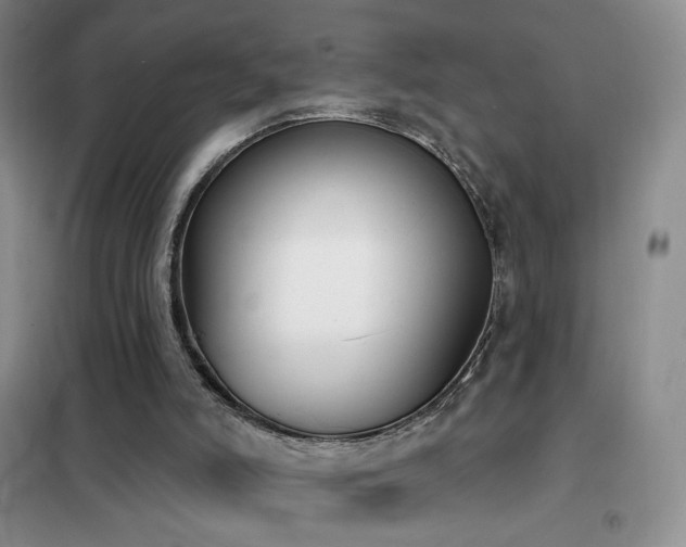 X0000102350006200808011214