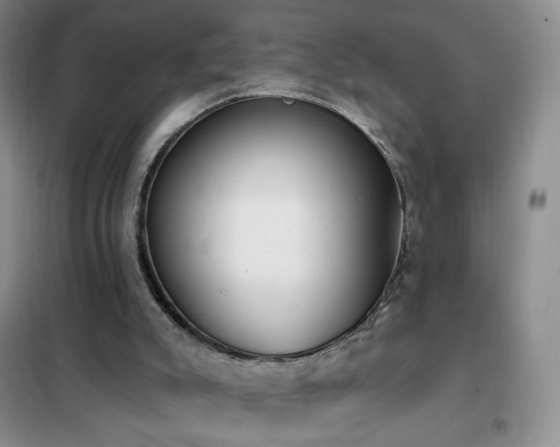 X0000102350007200808011214