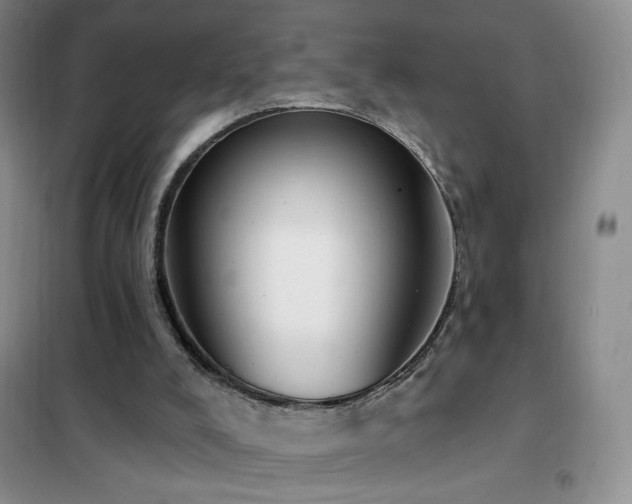 X0000102350008200808011214