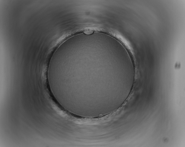 X0000102350009200808011214