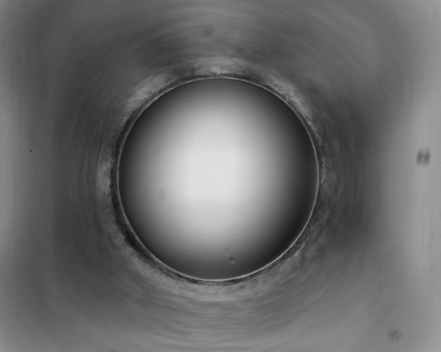 X0000102350010200808011214