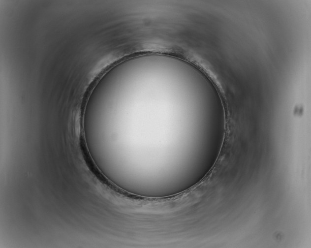 X0000102350011200808011214