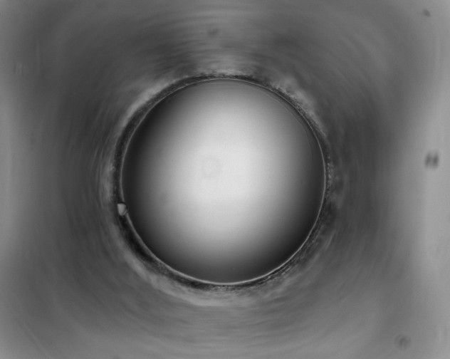 X0000102350012200808011214