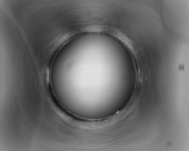 X0000102350013200808011214