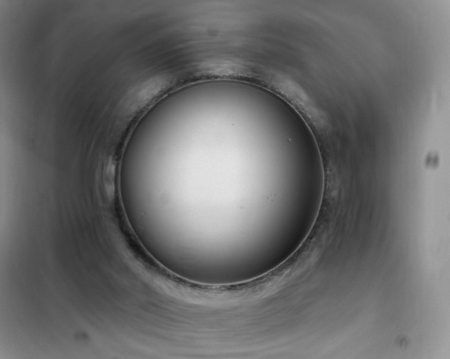 X0000102350014200808011214