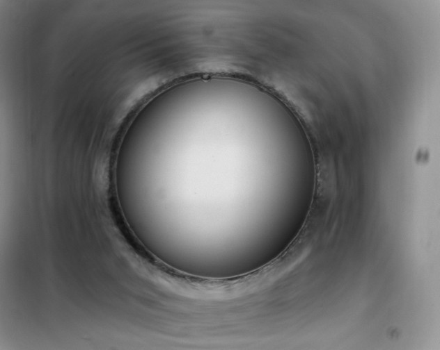 X0000102350015200808011214