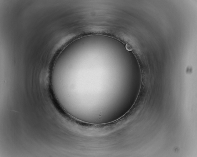 X0000102350016200808011214