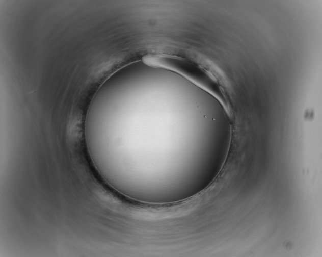 X0000102350017200808011214