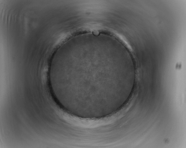 X0000102350018200808011214