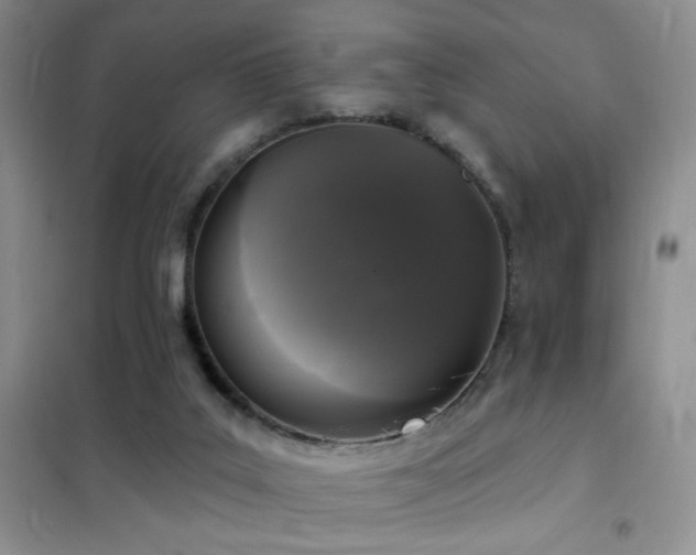 X0000102350019200808011214