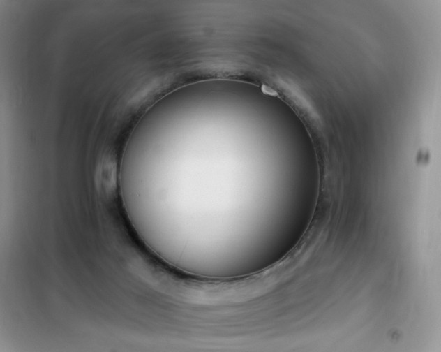 X0000102350021200808011214