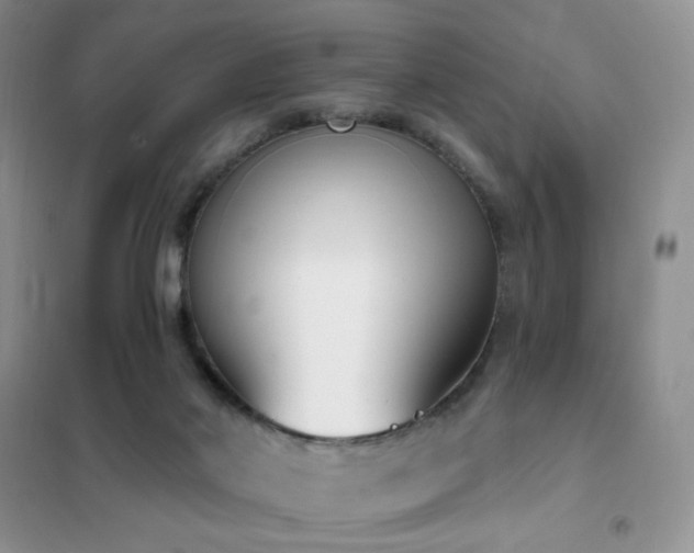 X0000102350022200808011214