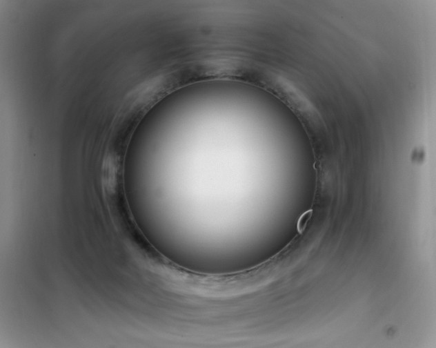 X0000102350026200808011214