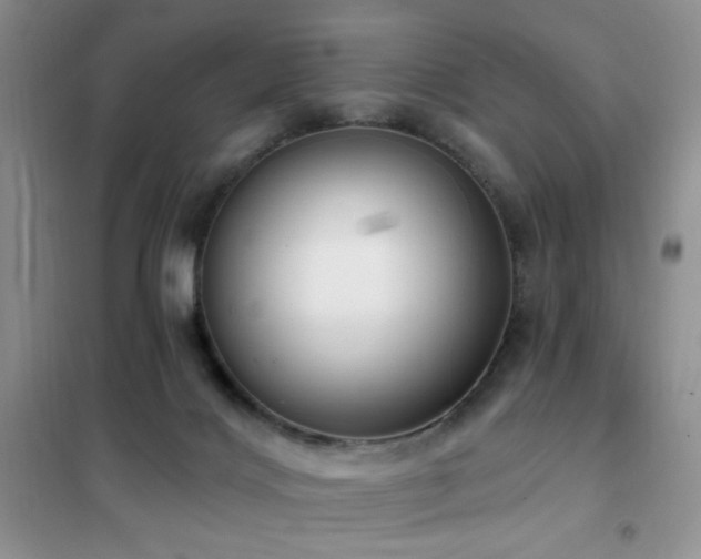 X0000102350028200808011214