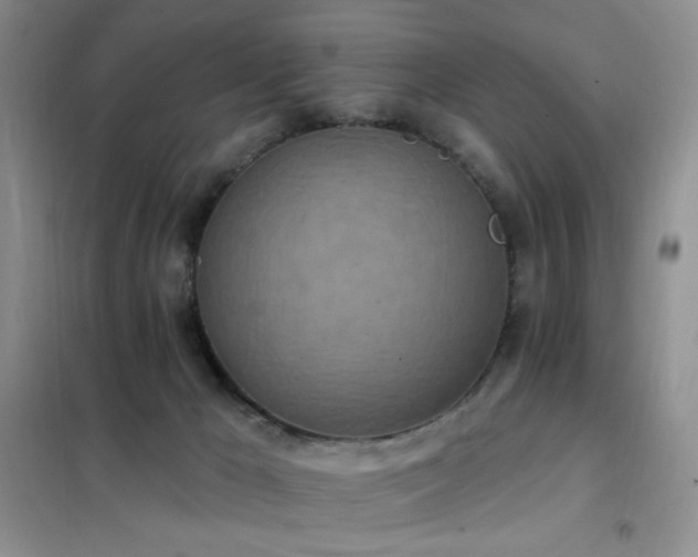 X0000102350029200808011214