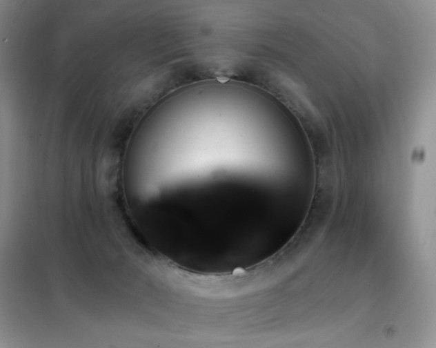 X0000102350030200808011214