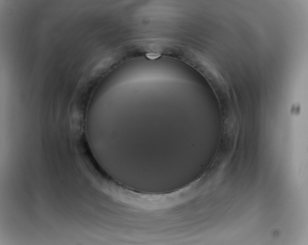 X0000102350031200808011214