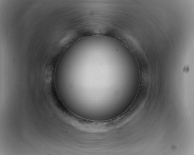 X0000102350032200808011214