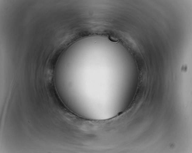 X0000102350033200808011214