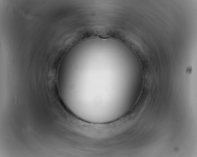 X0000102350034200808011214