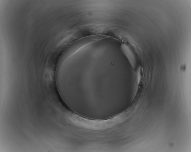 X0000102350035200808011214