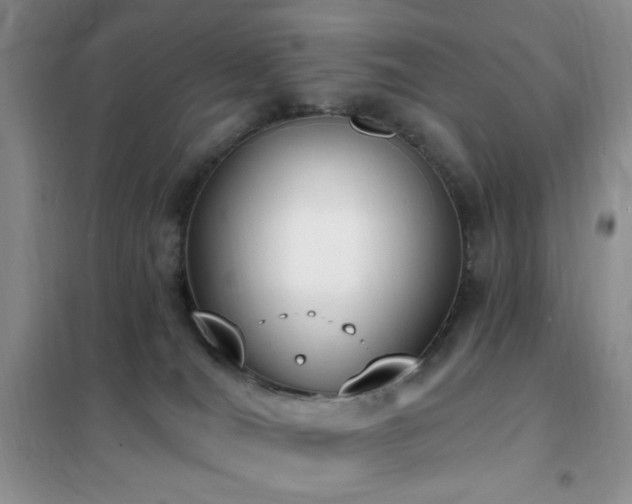 X0000102350036200808011214