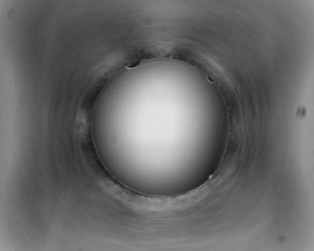 X0000102350037200808011214