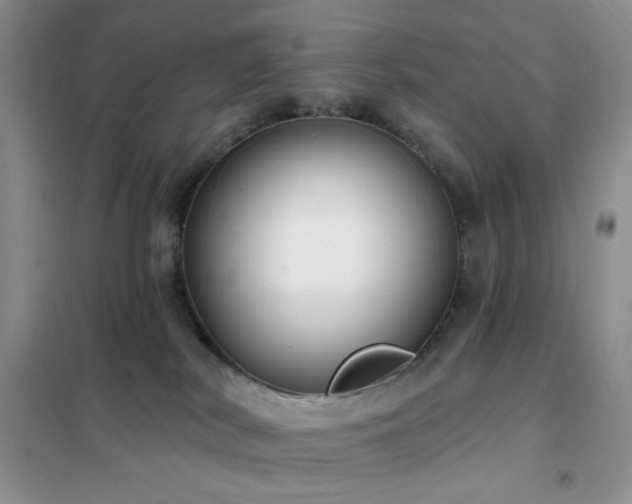 X0000102350038200808011214