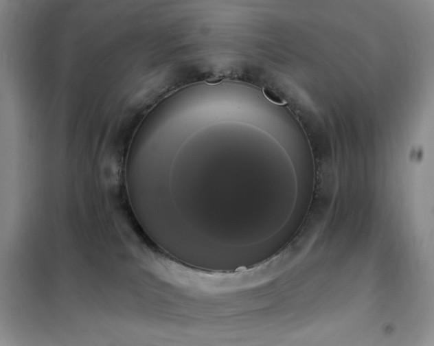 X0000102350039200808011214