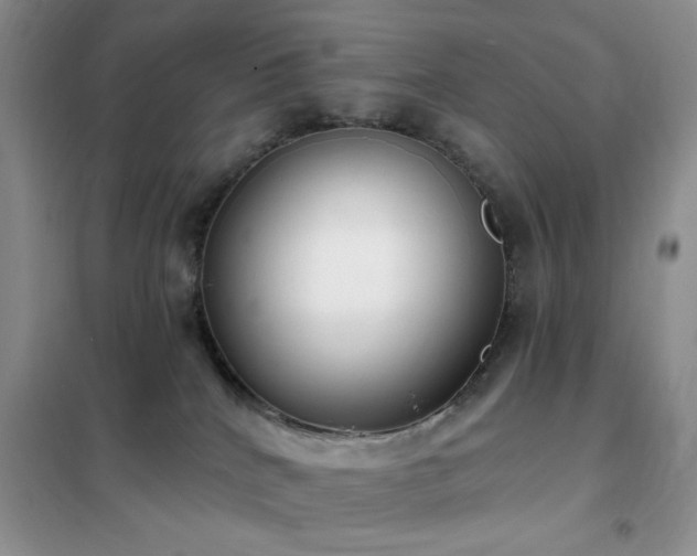 X0000102350040200808011214