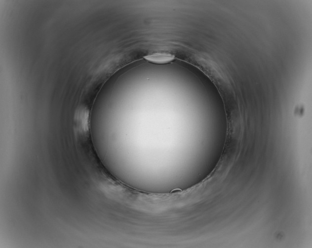 X0000102350041200808011214