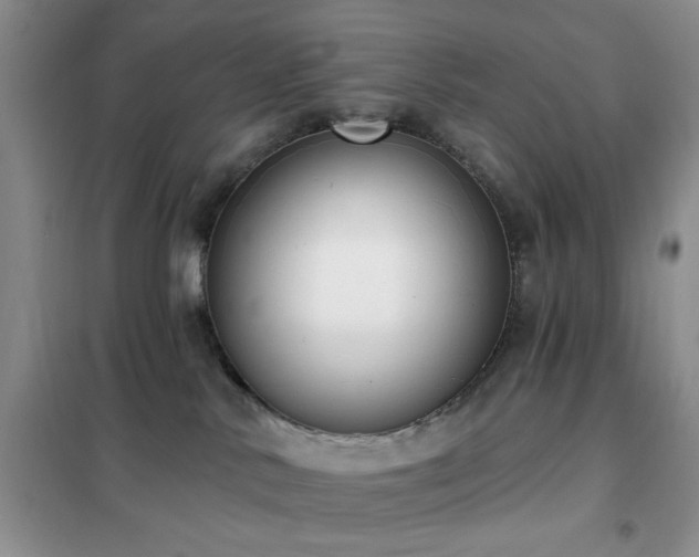 X0000102350042200808011214