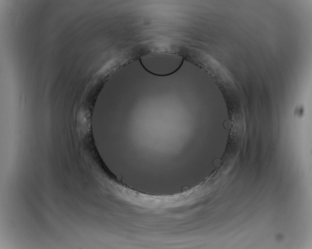 X0000102350043200808011214