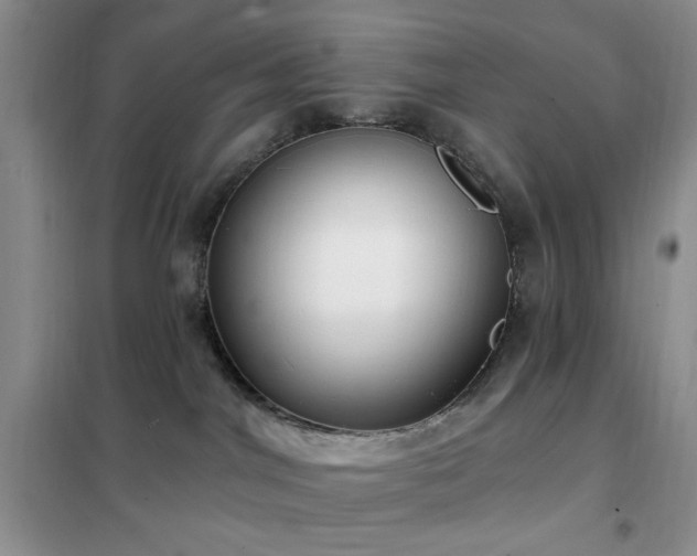 X0000102350044200808011214