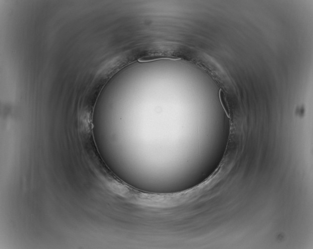 X0000102350045200808011214