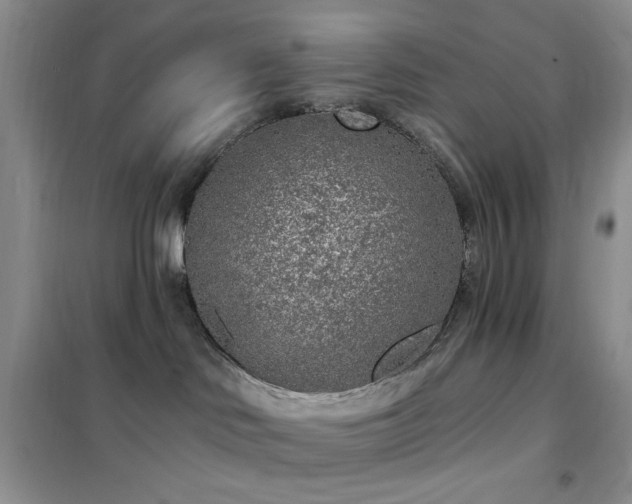 X0000102350046200808011214