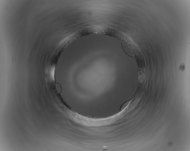 X0000102350047200808011214