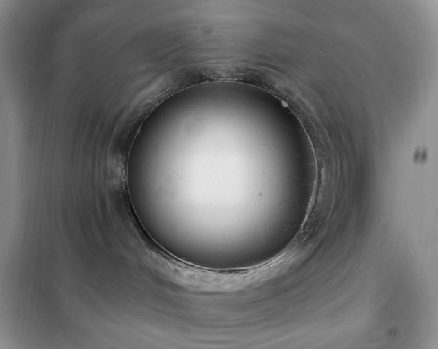 X0000102350048200808011214