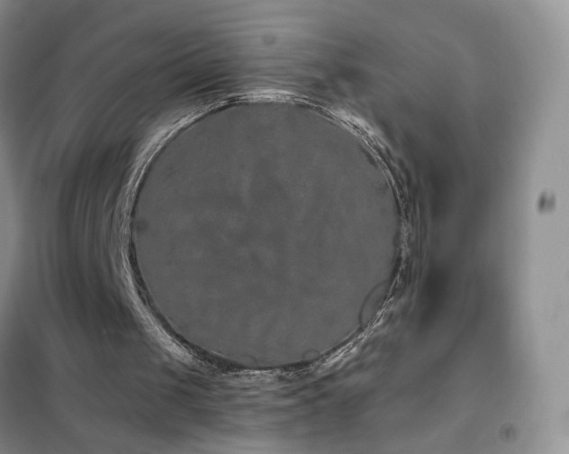 X0000102350049200808011213