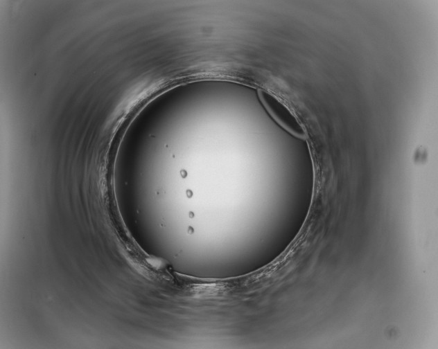 X0000102350050200808011213