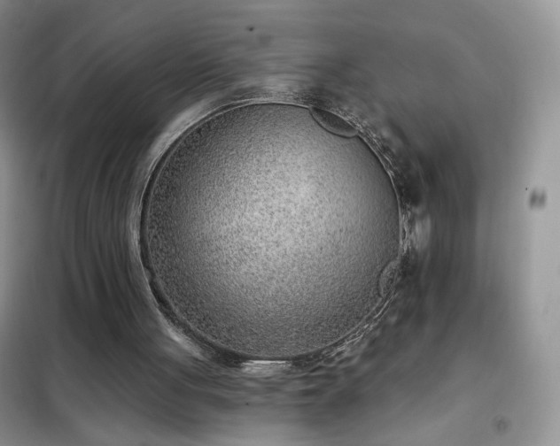 X0000102350051200808011213