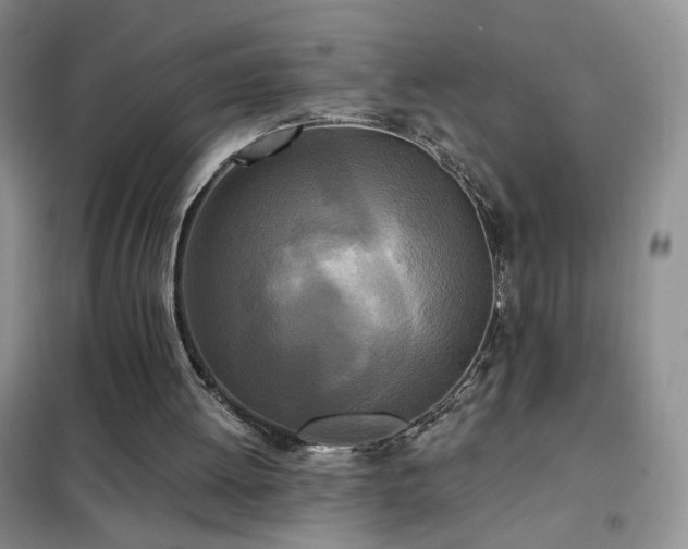 X0000102350052200808011213