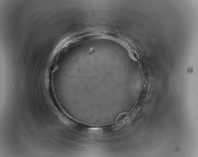 X0000102350053200808011213