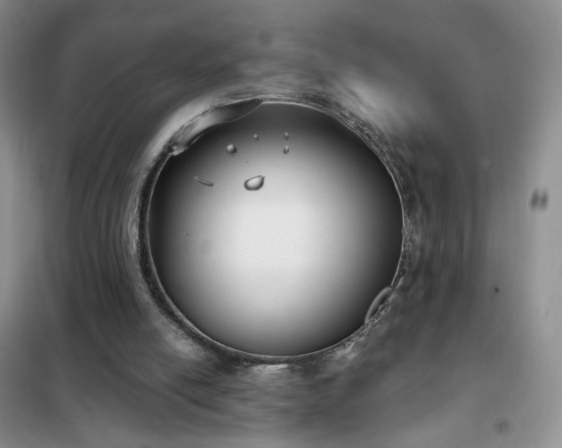 X0000102350054200808011213