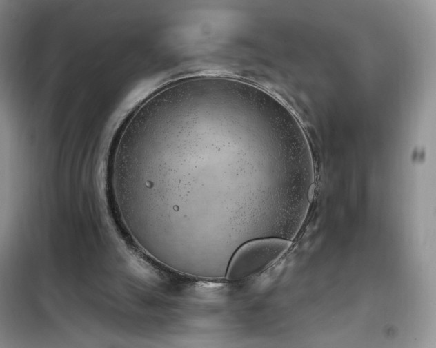 X0000102350055200808011213